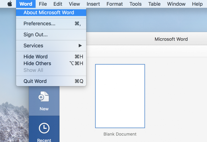 Open Word and on the main menu for software, click Word then About Microsoft Word