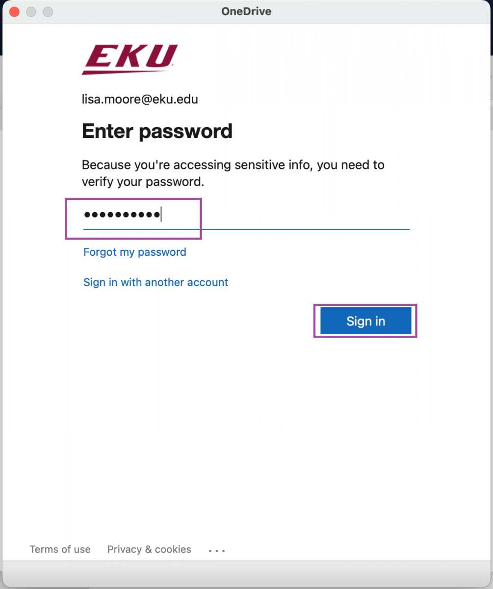 Next you should see an EKU branded box where you enter your EKU email password and click the blue Sign In button.