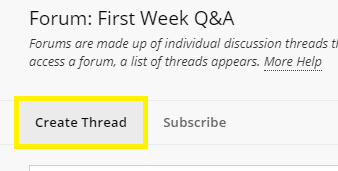 On the Discussion Board page, open a forum and select Create Thread