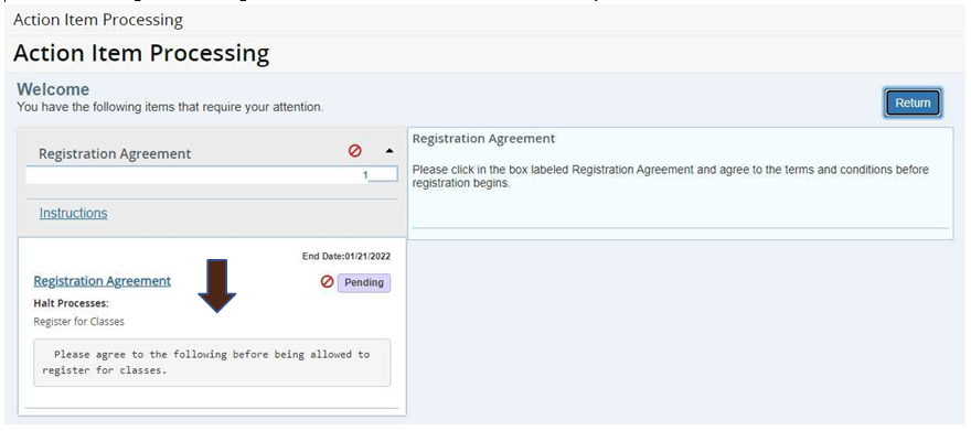Click in the Registration Agreement box as seen below marked by the arrow: