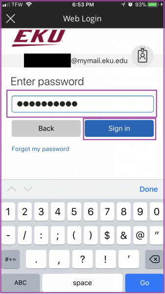 6. Enter your email password and click the Sign In button.