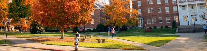 Tile 15 - Campus Fall